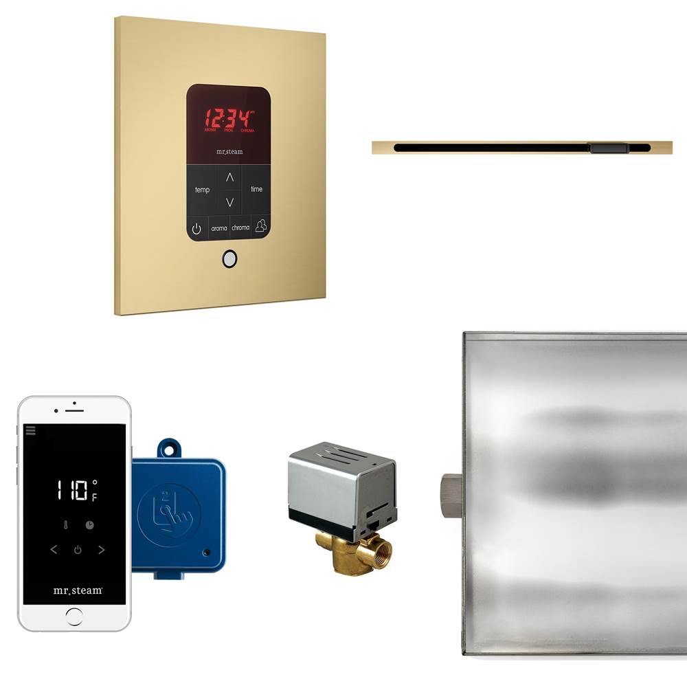 Mr. Steam Butler Linear Steam Shower Control Package with iTempoPlus Control and Linear SteamHead in Square Satin Brass